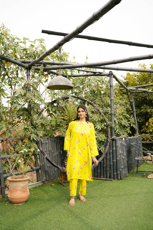 2 Piece – Stitched Suit