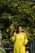 2 Piece – Stitched Suit